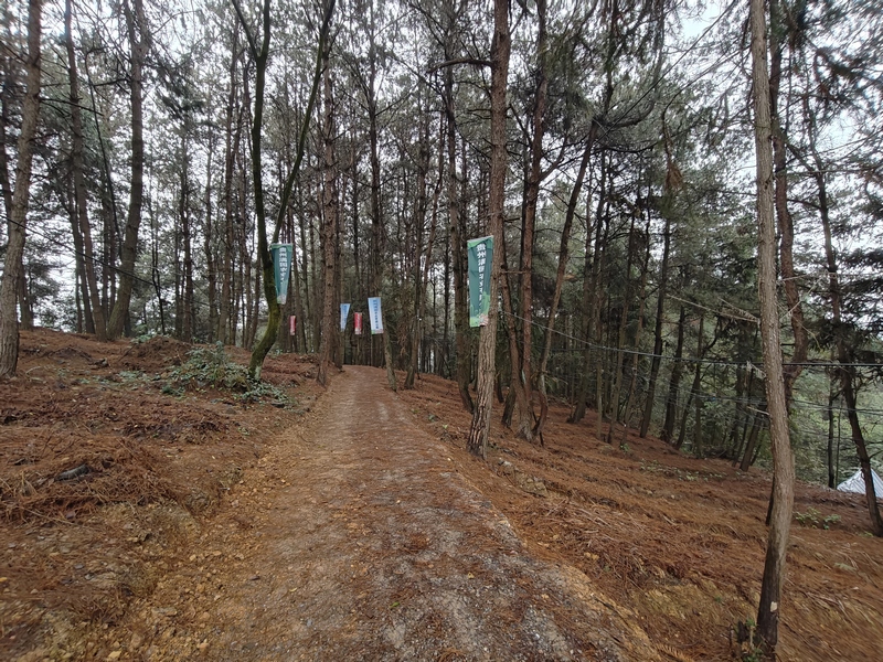 六桶鎮村集體經濟 修文縣六桶鎮李虹億 攝