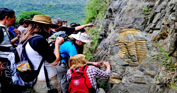 八郎古生物化石群。劍河縣融媒體中心供圖