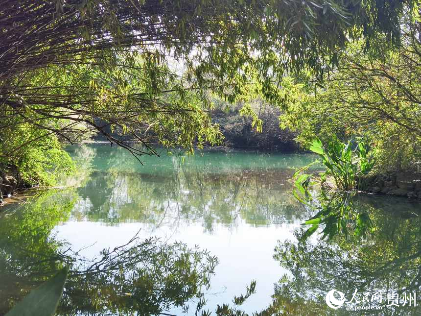 花溪公園一隅。人民網記者 王秀芳攝