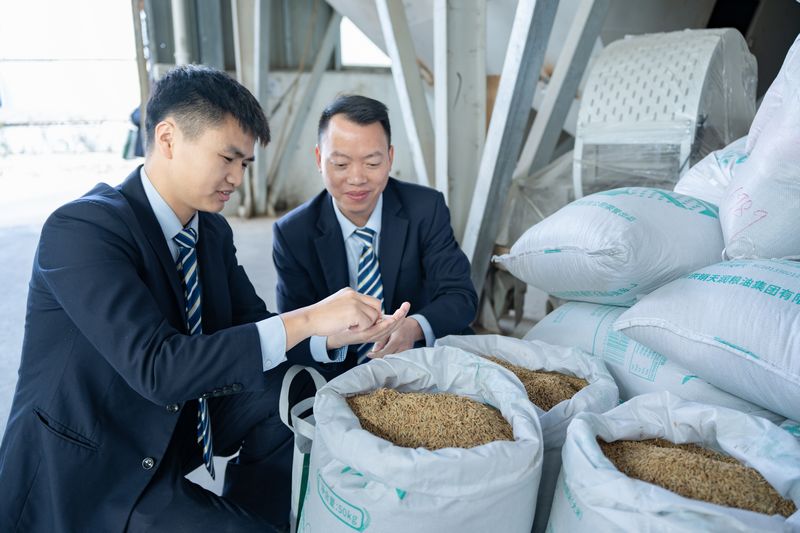 郵儲銀行惠水縣支行工作人員正在查看黑糯米。郵儲銀行貴州省分行供圖