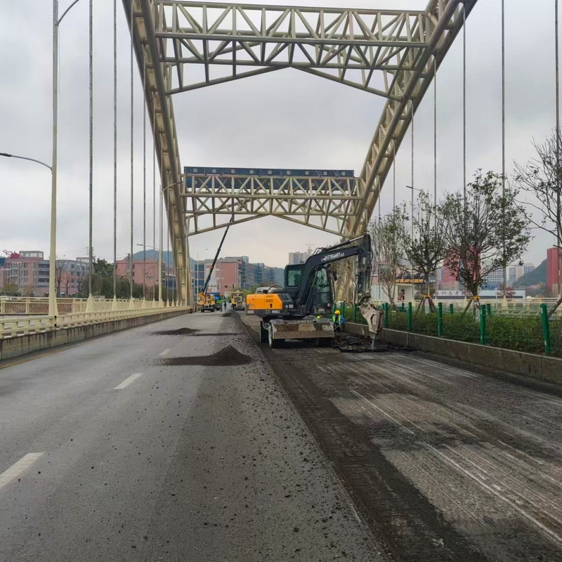 龍鳳大橋維修施工現場。 (2)