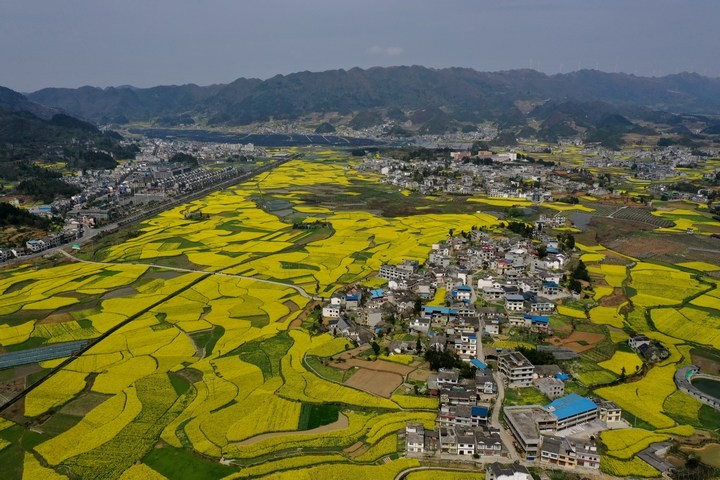 金沙建設高標準農田 夯實農業發展“耕”基 。