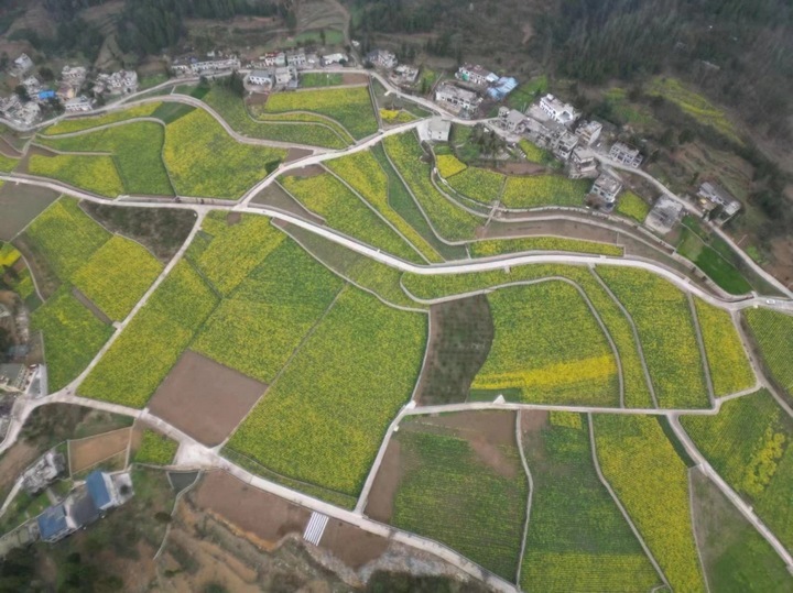 金沙建設高標準農田 夯實農業發展“耕”基 。