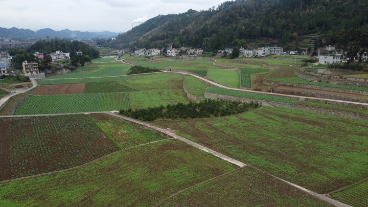 金沙建設高標準農田 夯實農業發展“耕”基 。