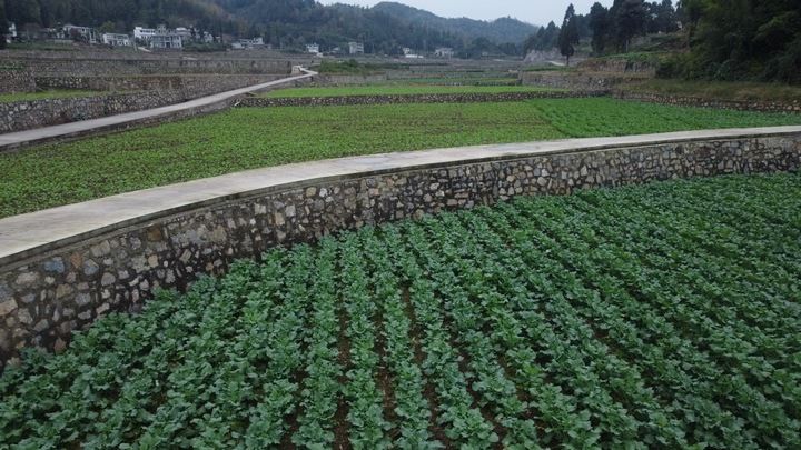 金沙建設高標準農田 夯實農業發展“耕”基 。