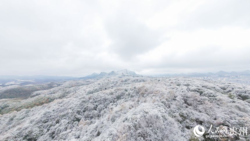 航拍雪后的百里杜鵑景區。人民網記者 涂敏攝