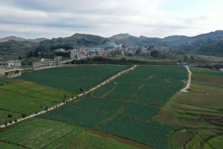 精品蔬菜種植基地。.jpg