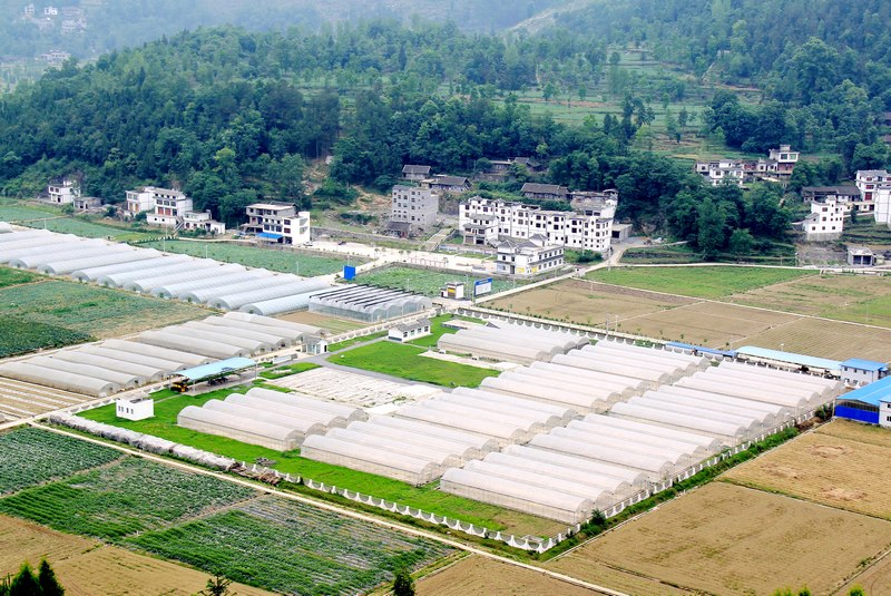 沿河現代高效農業園區。