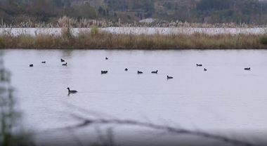 貴陽S1線來啦！