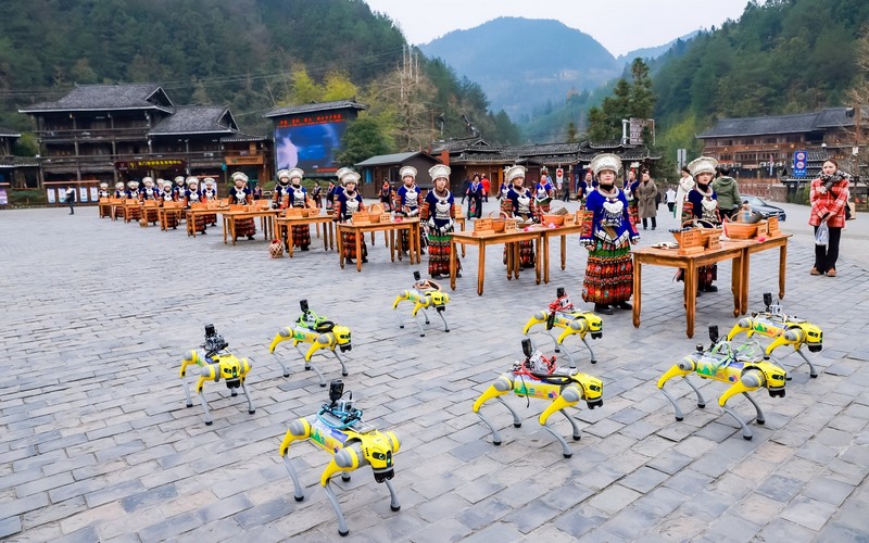 1圖為智能機器狗在西江千戶苗寨開展技能表演.jpeg