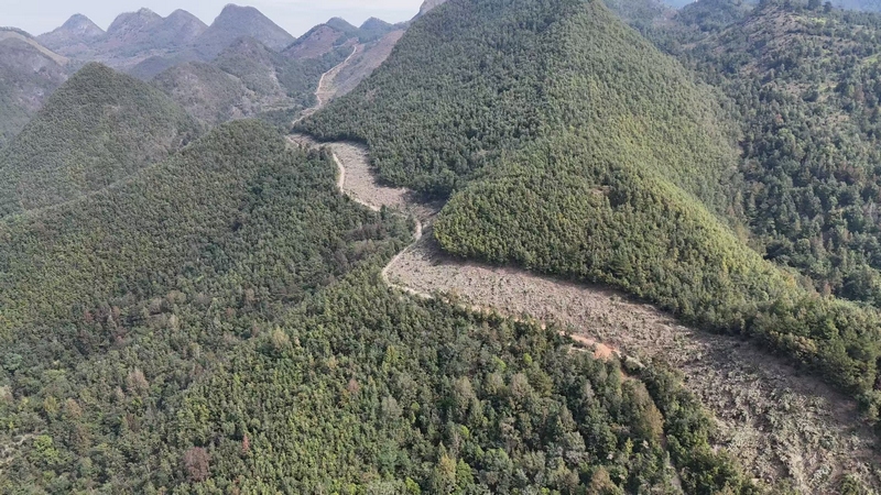 平塘縣甲茶鎮金貢村生物防火阻隔帶線路全景圖