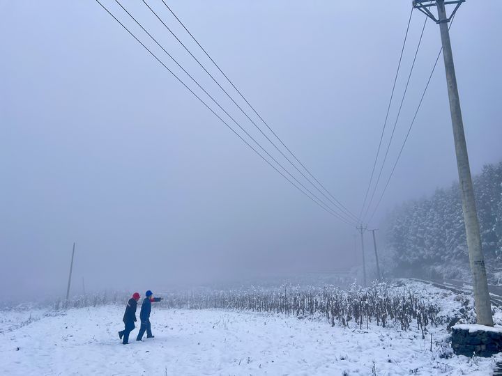 工作人員對供電線路和設備進行巡視、維護。 金莎 攝.jpg