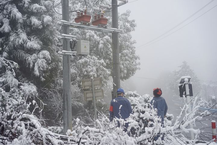 工作人員對供電線路和設備進行巡視、維護。金莎 攝 (2).jpg