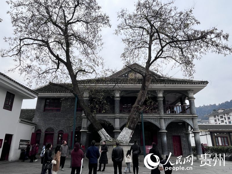 遵義會議會址小樓前的百歲大槐樹吸引游客駐足。人民網 陳潔泉攝