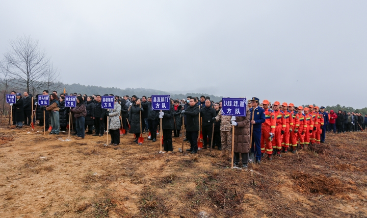 參加植樹的方隊。陳春志攝