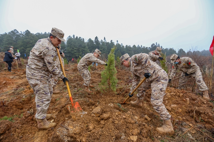 人武部官兵參加植樹。陳春志攝