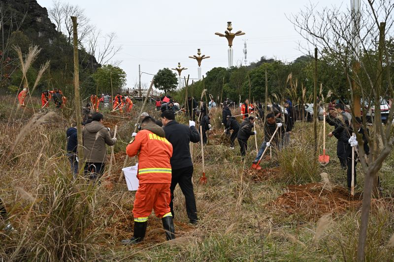 植樹活動正當時。