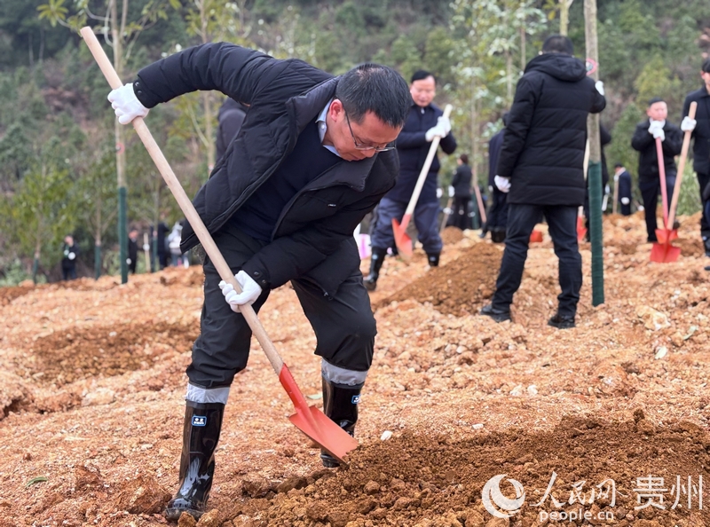 干部群眾積極參與植樹活動。人民網記者 高華攝.jpg