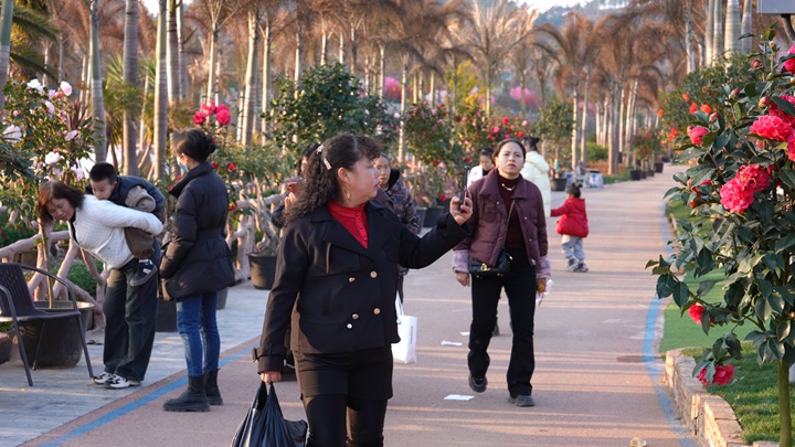 游客打卡拍照留戀。