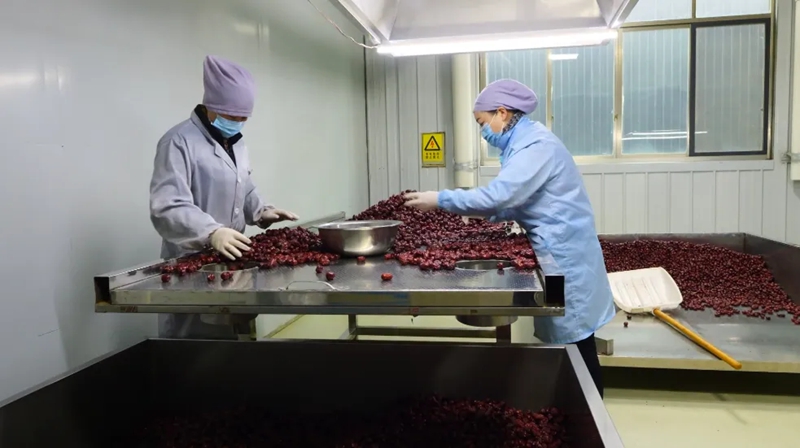 全力以“復”，西秀企業跑出復工“加速度”。