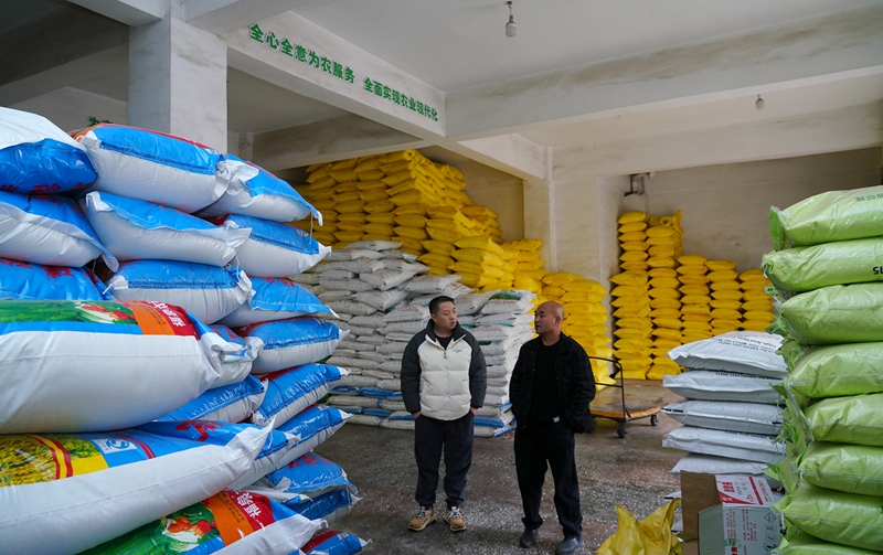 整齊堆放的化肥。代勝強  攝.jpg