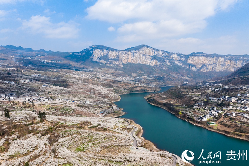 航拍凹河萬畝櫻桃基地。人民網記者 涂敏攝