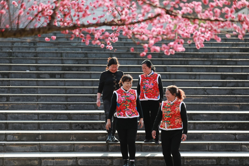 3月1日，貴州省黔西市西門外城郊的梅花迎春綻放，吸引游人紛紛前來觀花賞景、拍照打卡，樂享暖春時光。
