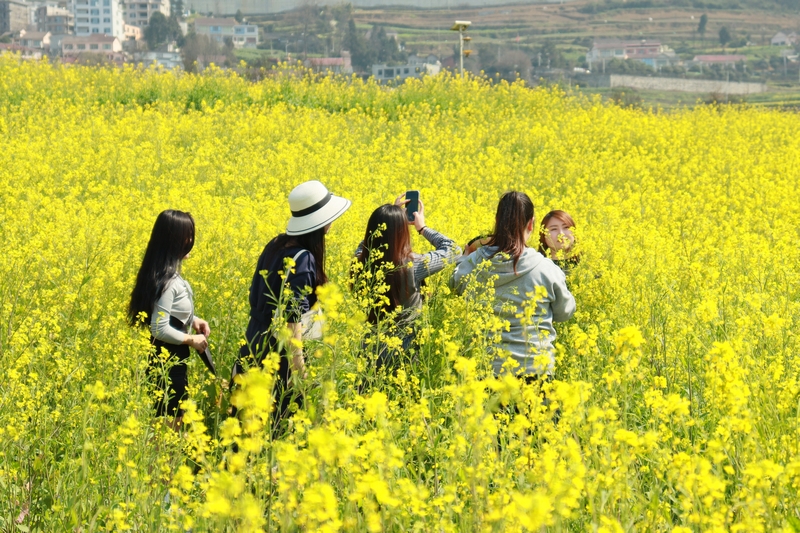 三兩好友在花間拍照。