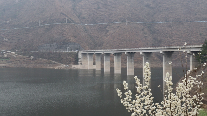 赫章縣古達鄉野鴨河附近的櫻桃花正盛放。劉虹艷攝