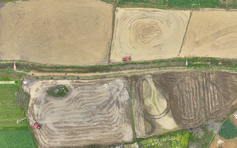 農機正在作業。沈建華 攝.jpg