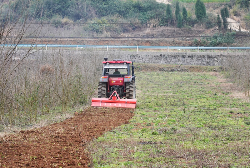 正在耕地的旋耕機。郭露 攝.jpg
