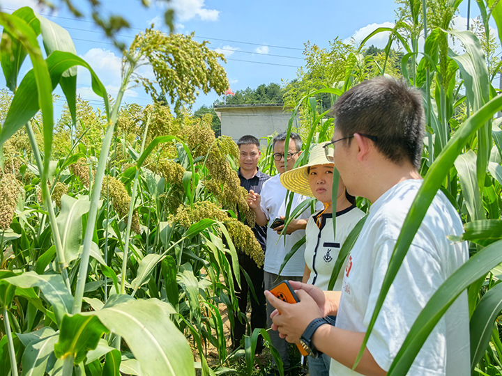 農業科技示范基地。