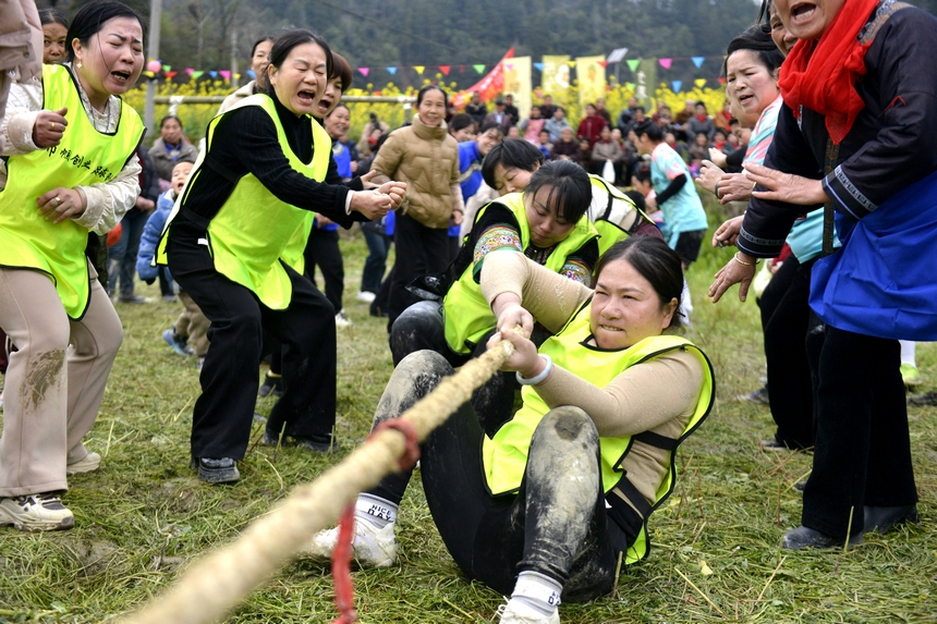 村民在榕江縣寨蒿鎮平堡村參加“南瓜拔河”活動。 