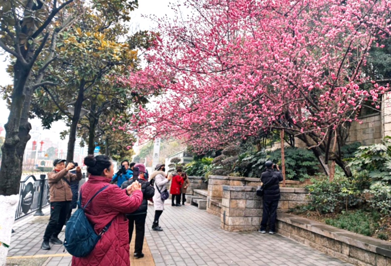 春日尋芳，花漾南明。