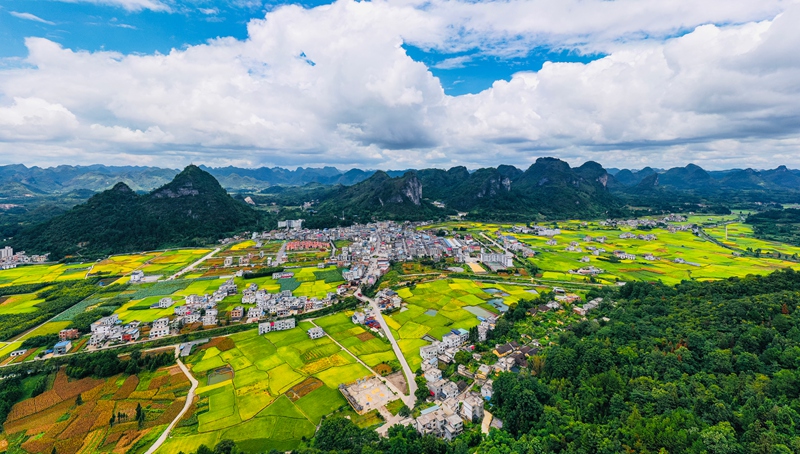 近年來，茂蘭鎮積極探索“黨建+”模式，在組織建設、產業發展、基層治理等方面下功夫，跑出鄉村振興“加速度”。