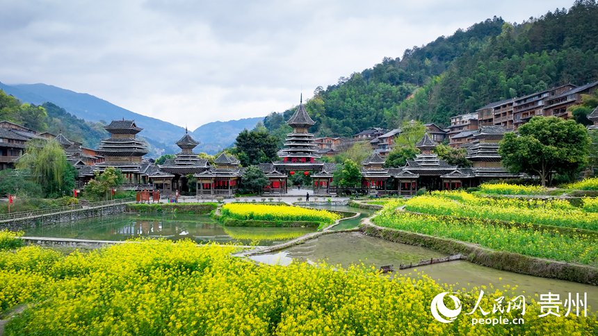 春日里的肇興侗寨。人民網記者 涂敏攝