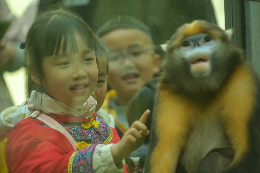 2025年3月19日，小朋友在貴州梵凈山國家級自然保護區黔金絲猴研究中心參加自然教育活動。