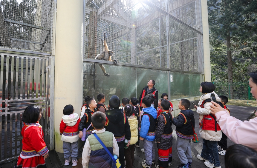 2025年3月19日，小朋友在貴州梵凈山國家級自然保護區黔金絲猴研究中心參加自然教育活動。