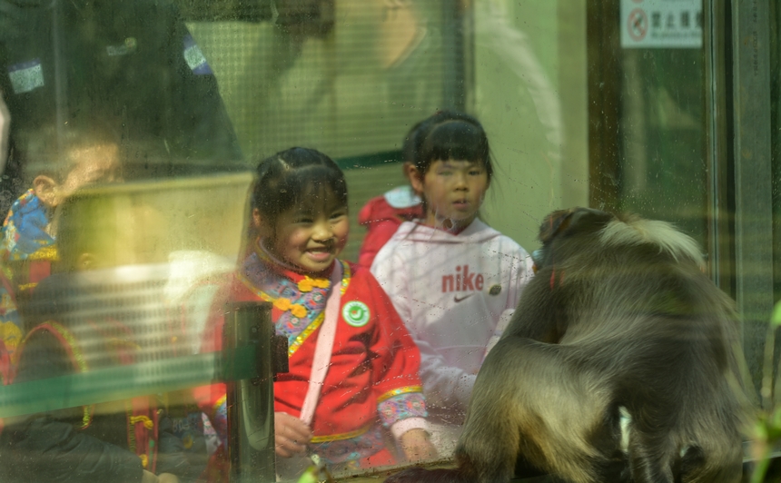 2025年3月19日，小朋友在貴州梵凈山國家級自然保護區黔金絲猴研究中心參加自然教育活動。