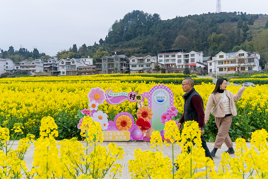 游客在油菜花田中游覽。人民網記者 涂敏攝