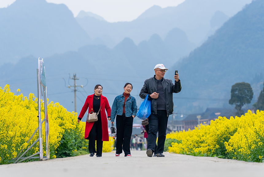 游客在油菜花田中游覽。人民網記者 涂敏攝