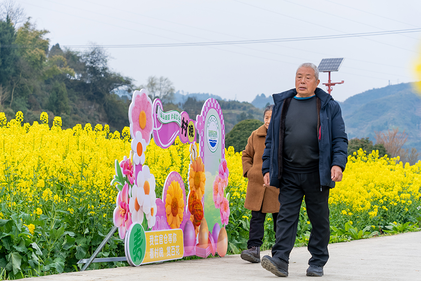 游客在油菜花田中游覽。人民網記者 涂敏攝
