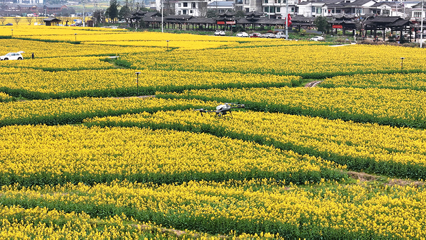 金海雪山景區。貴定縣人民政府網供圖