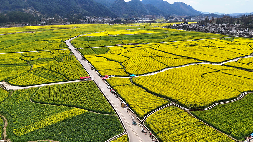 金海雪山景區。貴定縣人民政府網供圖