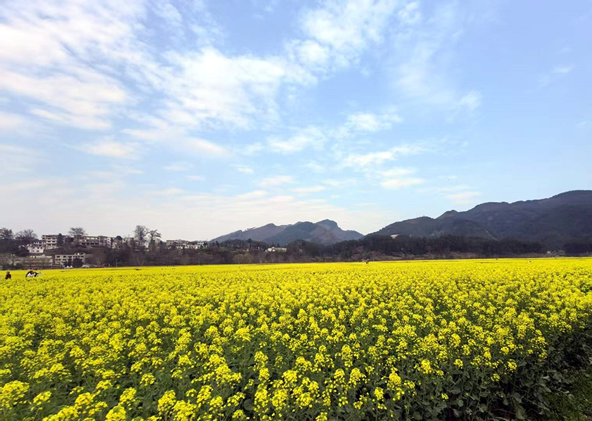 金海雪山景區。林曉攝
