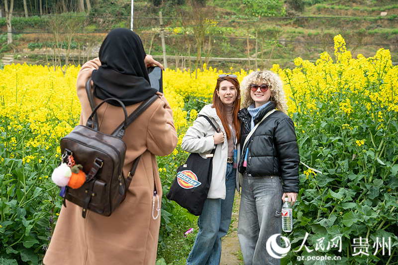 留學生打卡桐梓千畝油菜花田。人民網 陽茜攝