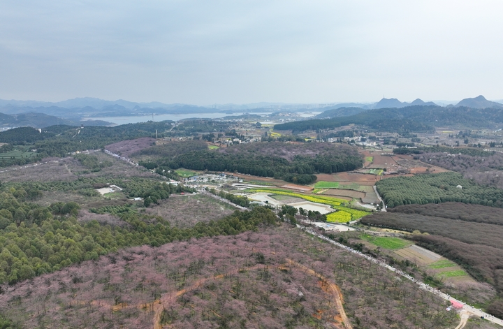 活動現場 (2).jpg