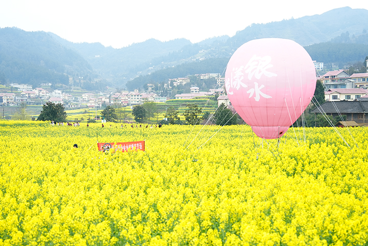 2、孩子們在花田里玩耍。