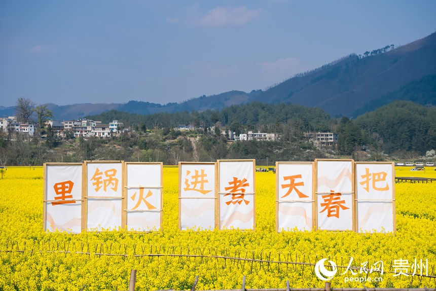 景區內盛開的油菜花。人民網記者 涂敏攝