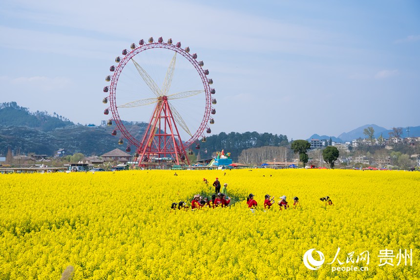 游客在油菜花田中賞花拍照。人民網記者 涂敏攝